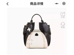 粉丝经济转化“包铺Baoshop”小程序6分钟销售额高达324万