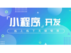 定制微信小程序需要注意什么？制作流程和开发周期需要多久？