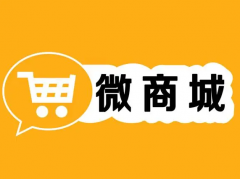 被处罚的有赞微商城无果申诉后，应该如何处理被冻结的款项？