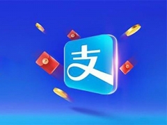 支付宝账户权限受限应该怎么申诉