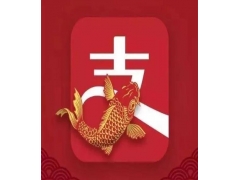 支付宝资金冻结申诉指南：从失败教训到成功路径